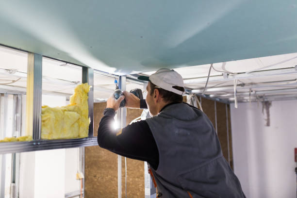 Best Energy Efficiency Solutions in Inman, SC