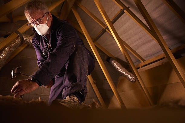 Best Insulation Installation Services in Inman, SC